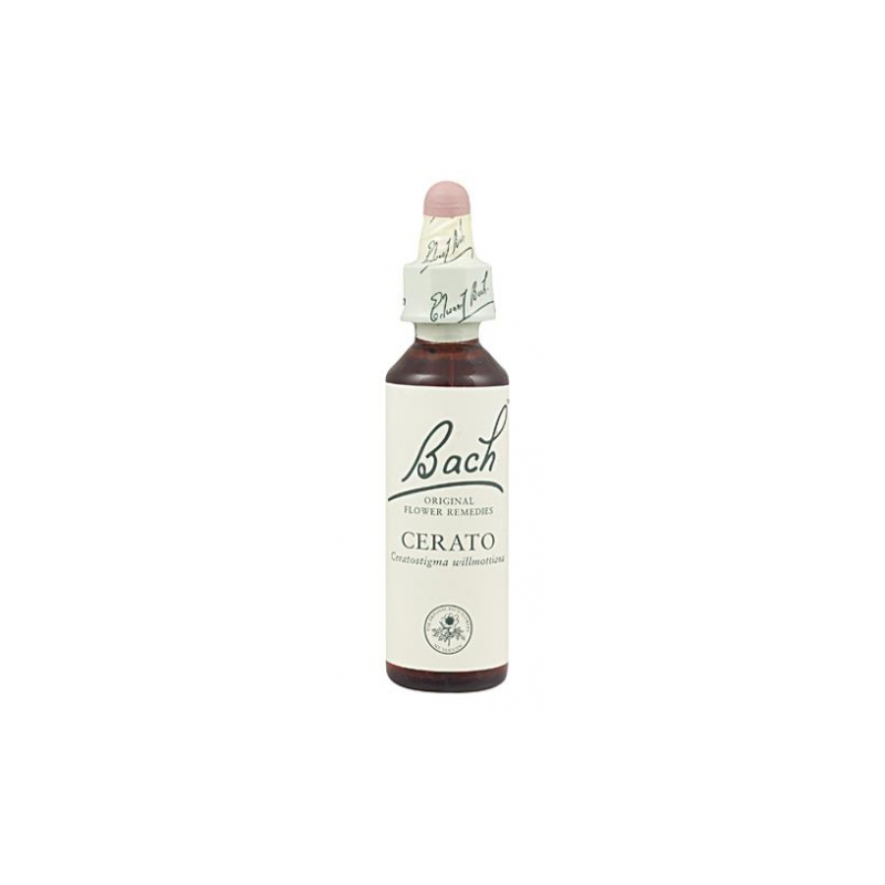 Bach n 5 cerato 20ml ceratostigma