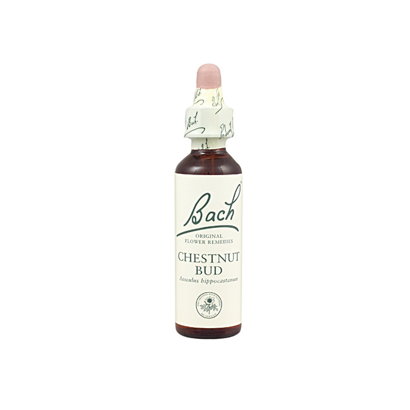 Bach n 7 chestnut bud 20ml brote de castaño indias