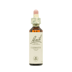 Bach n 9 clematis 20ml clematide