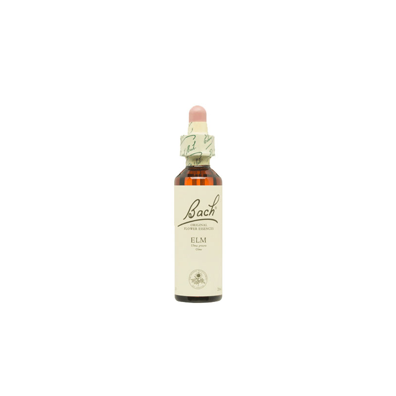 Bach n 11 elm 20ml olmo