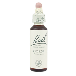 Bach n 13 gorse 20ml aulaga