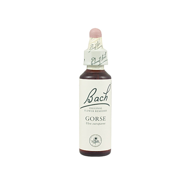 Bach n 13 gorse 20ml aulaga
