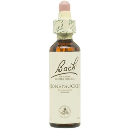 Bach n 16 honeysuckle 20ml madreselva