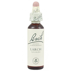 Bach n 19 larch 20ml alerce
