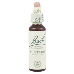 Bach n 21 mustard 20ml mostaza