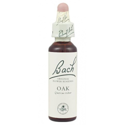 Bach n 22 oak 20ml  roble