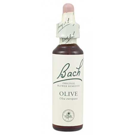 Bach n 23 olive 20ml olivo