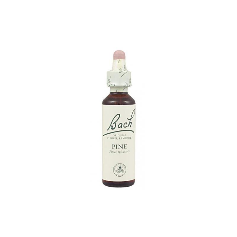 Bach n 24 pine 20ml  pino