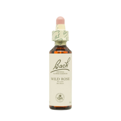 Bach n 37 wild rose 20ml rosa silvestre