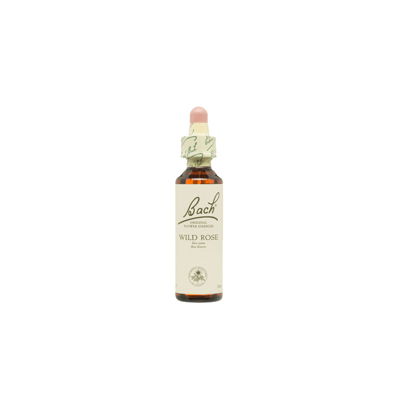 Bach n 37 wild rose 20ml rosa silvestre