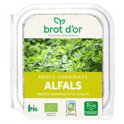 Germinado alfalfa fresco bio 70gr.