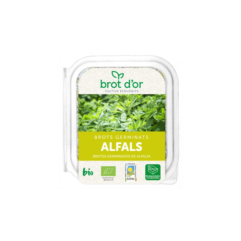 Germinado alfalfa fresco bio 70gr.
