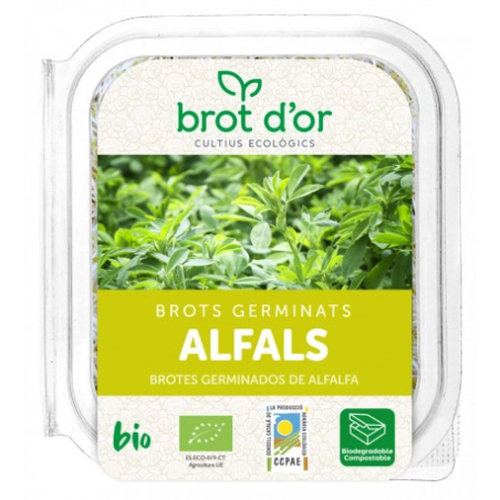 Germinado alfalfa fresco bio 70gr.