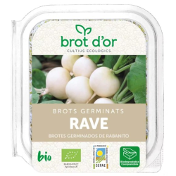 Germinado rabanitos 70gr bio brotdor.
