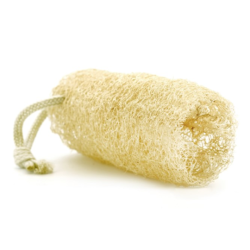 Esveva luffa esponja granel 10-12 cm