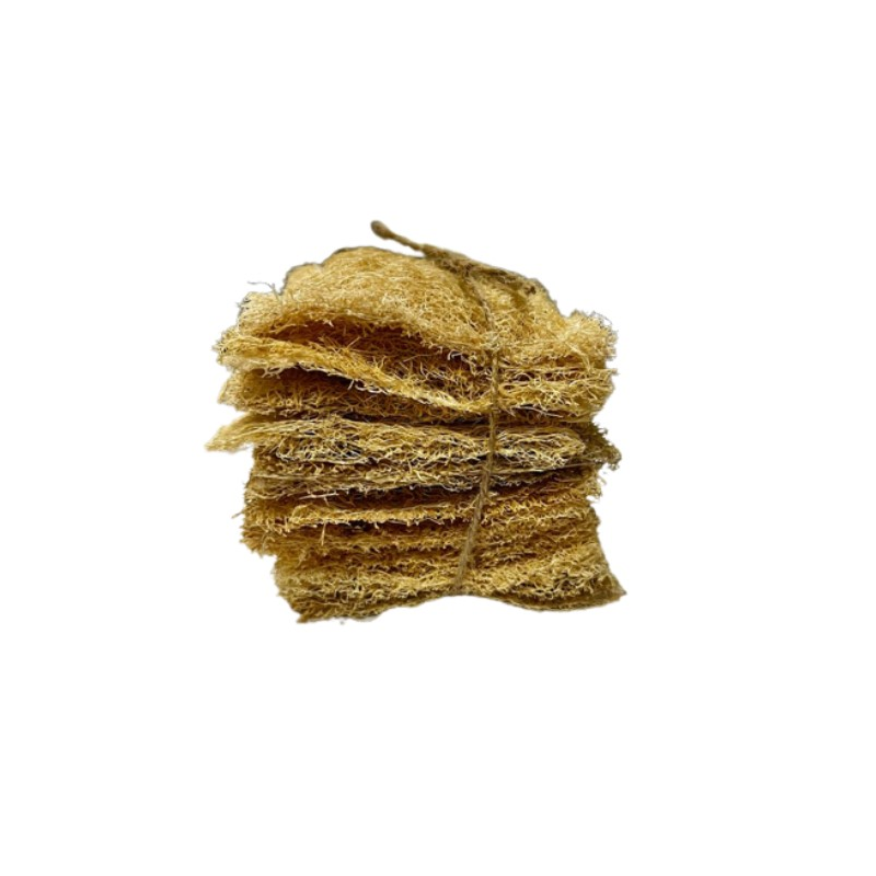 Esveva luffa jabonera