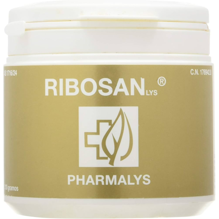 Ribosan 310gr polvo pharmalys