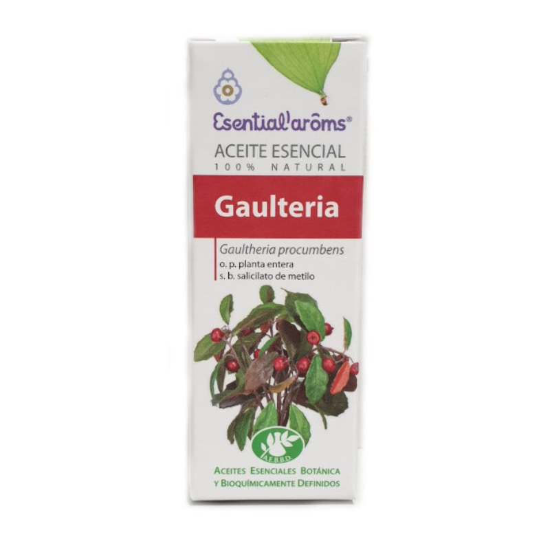 Esencia gaulteria 10ml intersa