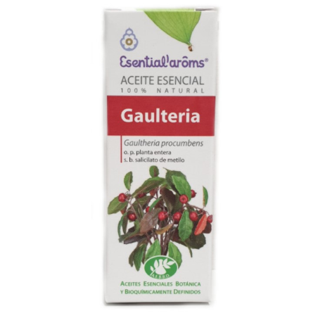 Esencia gaulteria 10ml intersa