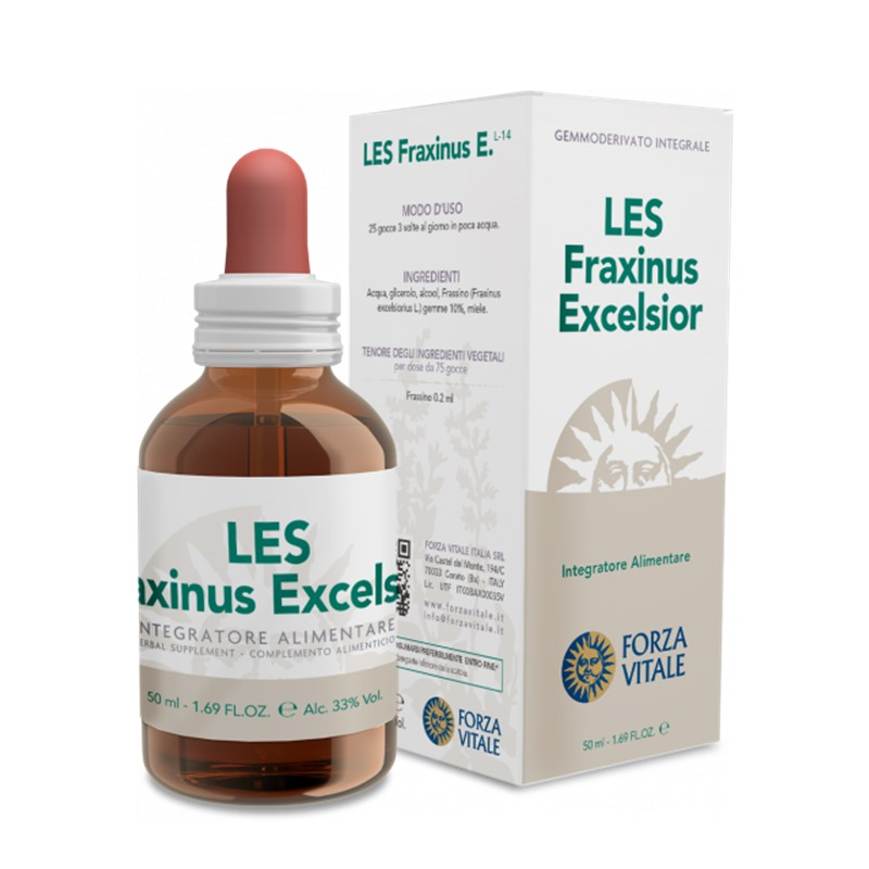 Les fraxinus excelsion