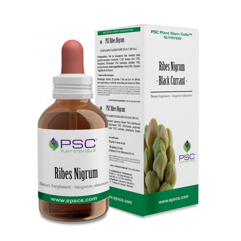 Psc ribes nigrum 15ml