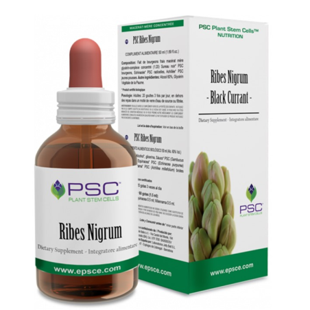 Psc ribes nigrum 15ml