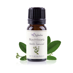 Esencia ravintsara 12ml bio labiatae