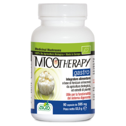 Micotherapy gastro 90cap avd