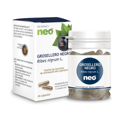 Grosellero negro extracto seco 45cap neo