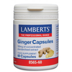 Jengibre 60cap lamberts