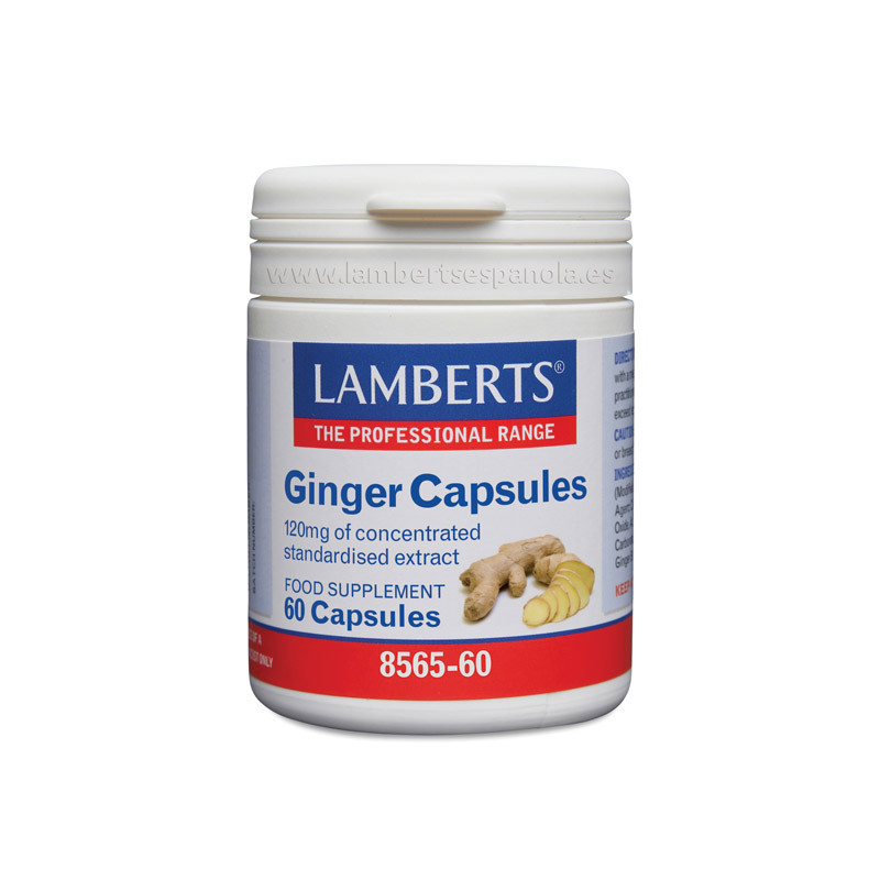 Jengibre 60cap lamberts