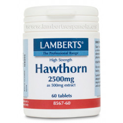 Espino blanco 2500mg 60tabl.lamberts