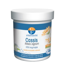 Grosellero negro 200caps( cassis) fenioux