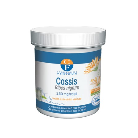 Grosellero negro 200caps( cassis) fenioux