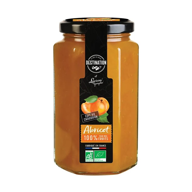 Destination mermelada albaricoque bio 300g