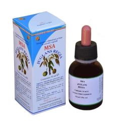 Msa juglans regia herboplanet 50ml