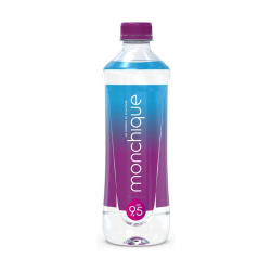 Monchique agua mineral natural ph 9.5 510ml.