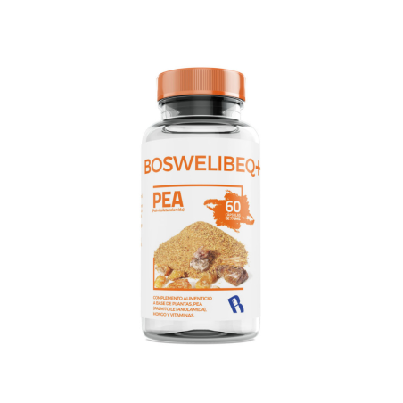 Boswelibeq+pea 60 cap bequisa
