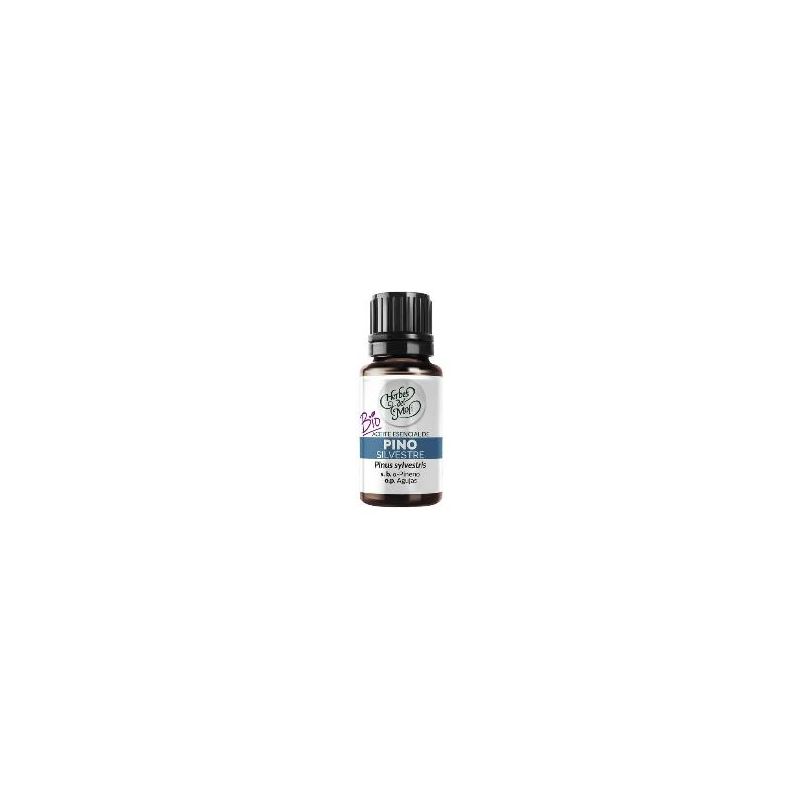 Aceite esencial pino silvestre herbes del moli 10m