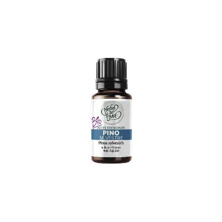 Aceite esencial pino silvestre herbes del moli 10m
