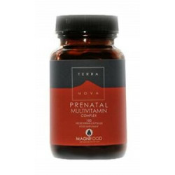 Prenatal multivit 100c terra.n