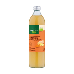 Kombucha jengibre y curcuma bio 250 ml santiveri