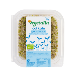 Germinado col kale 70g vegetalia