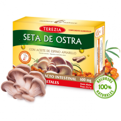 Seta de ostra con espino amarillo 60 cap terezia