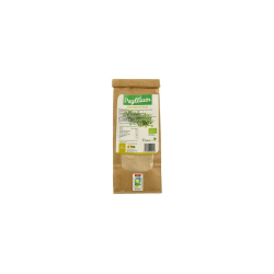 Psyllium polvo 200g dreamfoods ok eco