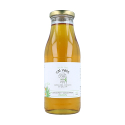 Concentrado agave 690gr cal valls