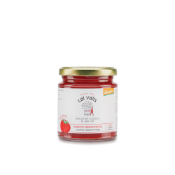 Tomate concentrado 250gr aliec