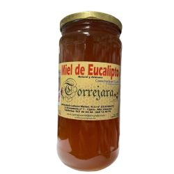 Miel eucalipto torrejara 1 kilo