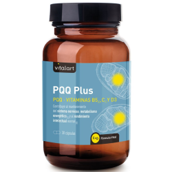 Pqq plus vitalart 30 cap