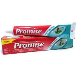 Dentifrico ayurvedico promise 100 ml